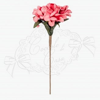FIORE ORTENSIA COCCOLE DI CASA
